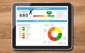 Member Credit Report (MCR) Generation